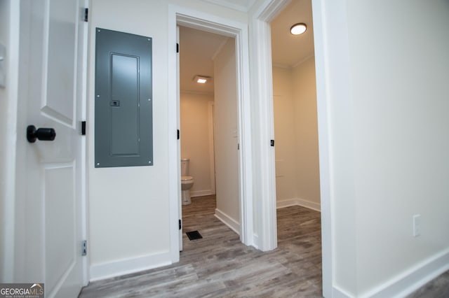 hallway with crown molding, electric panel, and light hardwood / wood-style flooring