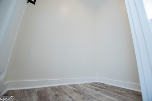 spacious closet with wood-type flooring