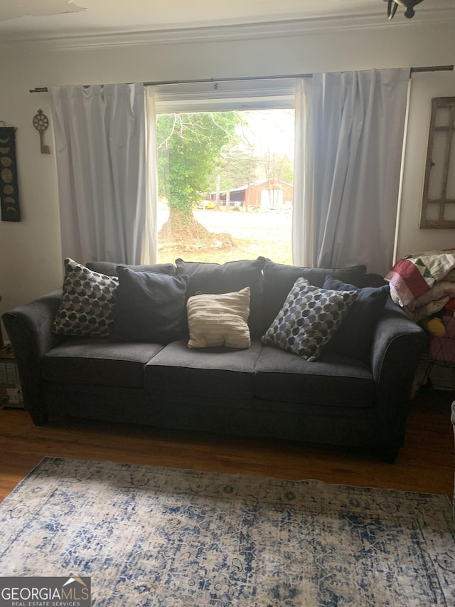 living room featuring ornamental molding and wood-type flooring