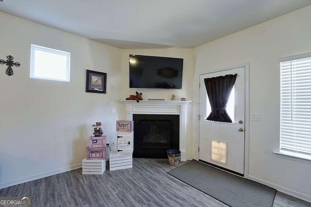 unfurnished living room with wood-type flooring and plenty of natural light