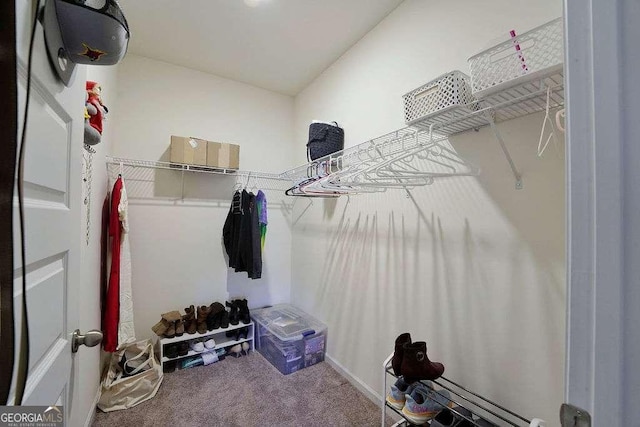 spacious closet featuring carpet flooring