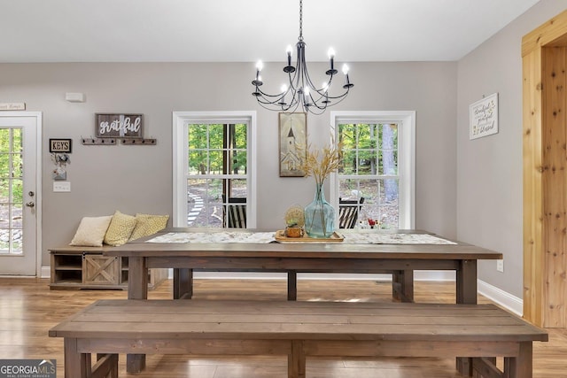 dining room with breakfast area, hardwood / wood-style floors, and plenty of natural light