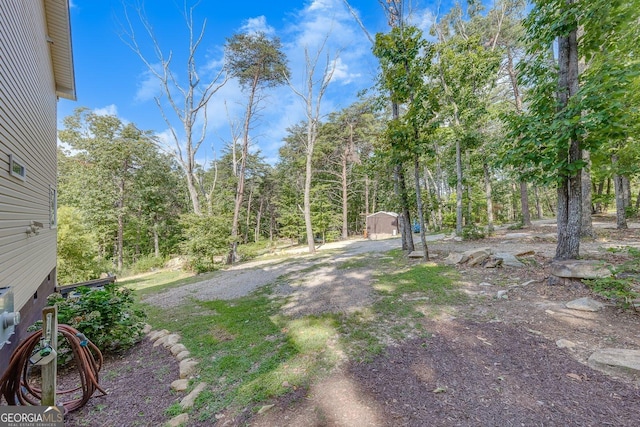 view of yard with a storage shed