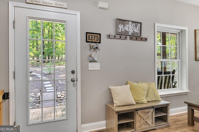 doorway featuring plenty of natural light and hardwood / wood-style floors