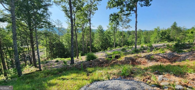 Listing photo 2 for LOT18 Mountain Laurel Rdg, Mineral Bluff GA 30559