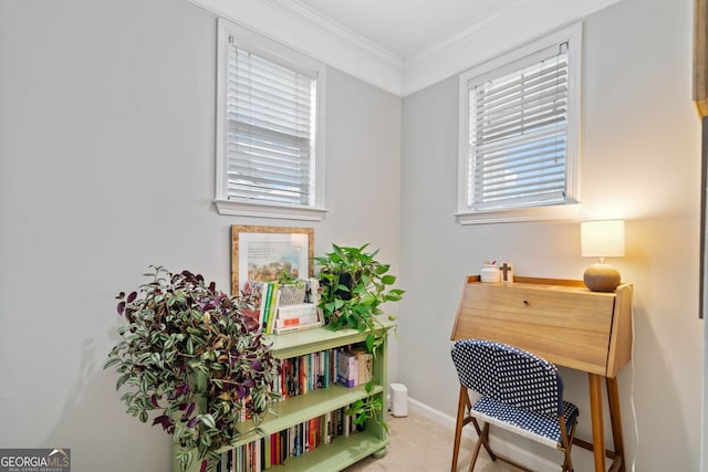 carpeted office featuring crown molding