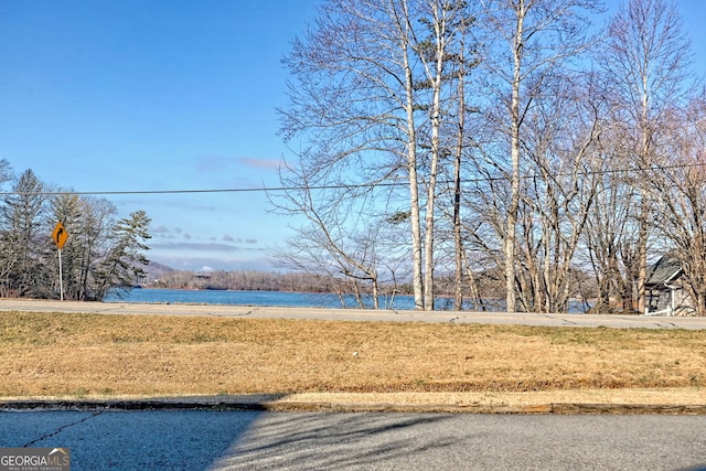 view of yard featuring a water view