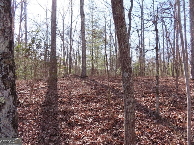 LOT1906 Finale St, Talking Rock GA, 30175 land for sale