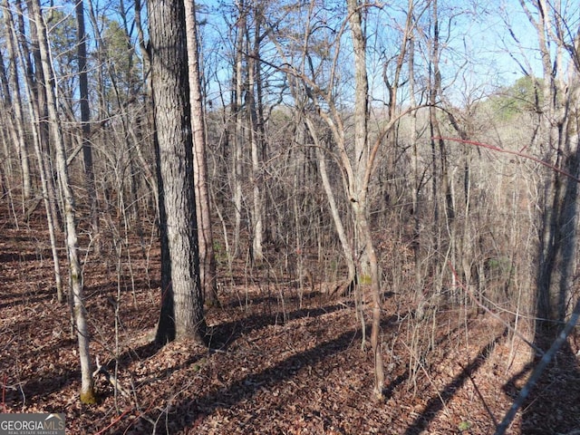 Listing photo 2 for LOT1906 Finale St, Talking Rock GA 30175