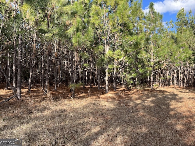 0 Thomas Rd, Millen GA, 30442 land for sale