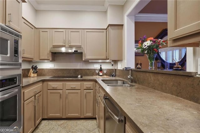 kitchen featuring ornamental molding, appliances with stainless steel finishes, and sink