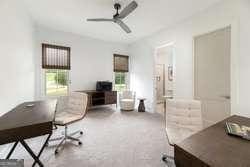 carpeted office space featuring plenty of natural light and ceiling fan