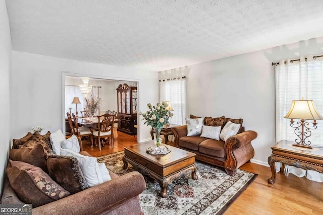 living room featuring hardwood / wood-style flooring and a textured ceiling