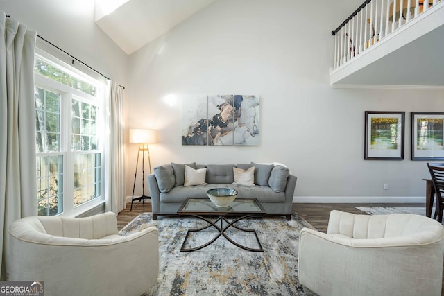 living room with high vaulted ceiling and dark hardwood / wood-style floors