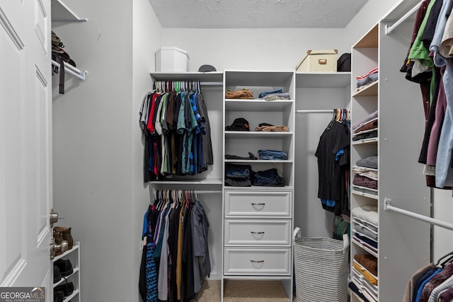 walk in closet with carpet