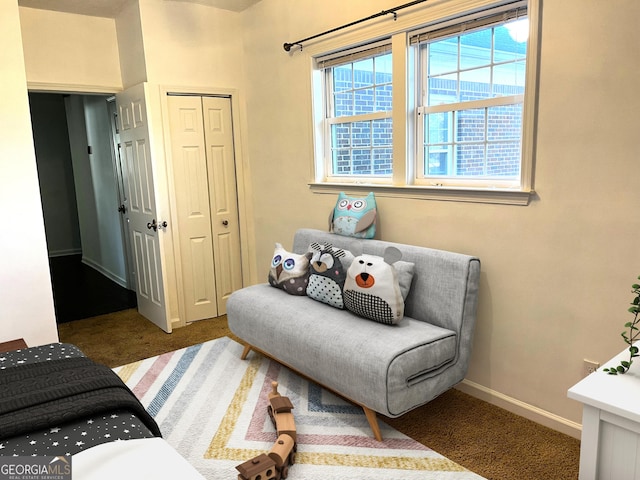 living area with dark colored carpet