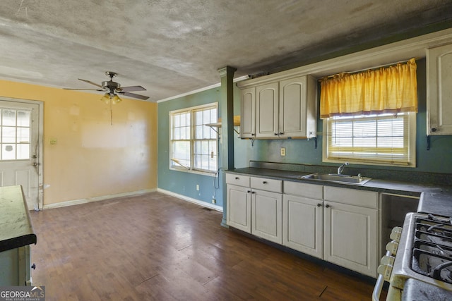 kitchen with sink, dark hardwood / wood-style floors, a wealth of natural light, and gas range oven