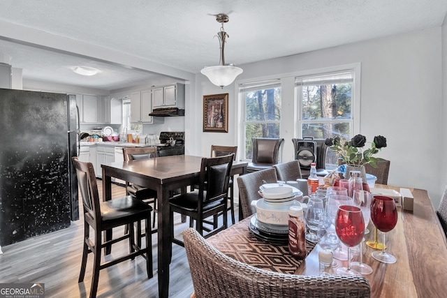 dining room with light hardwood / wood-style floors