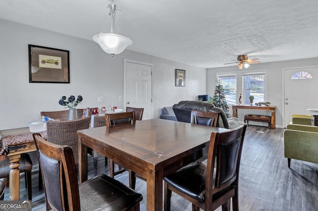 dining room featuring ceiling fan, dark hardwood / wood-style floors, and a textured ceiling