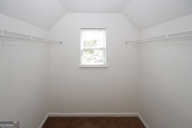 spacious closet featuring carpet flooring and vaulted ceiling