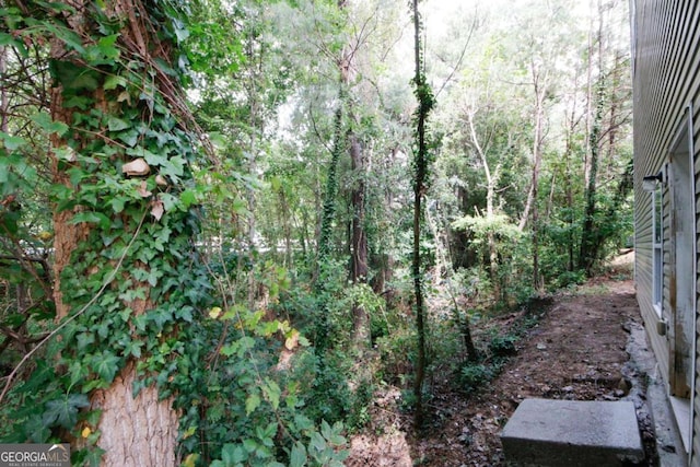 view of landscape