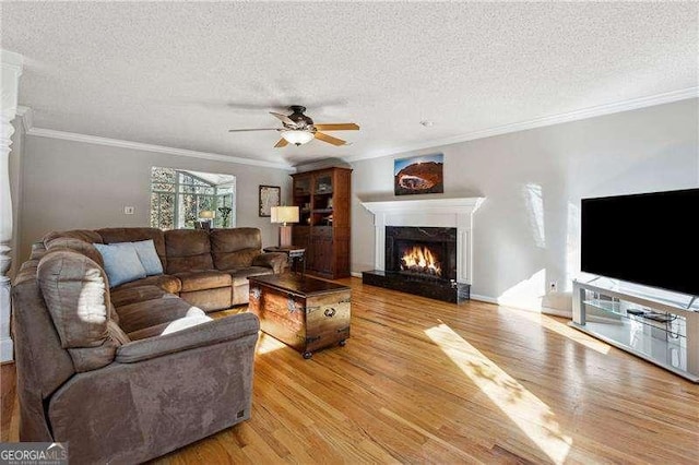 living room with crown molding, ceiling fan, a textured ceiling, and light wood-type flooring