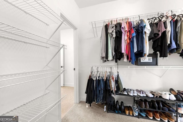 view of spacious closet