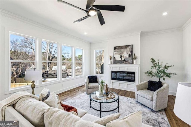 living room featuring crown molding, wood-type flooring, and ceiling fan