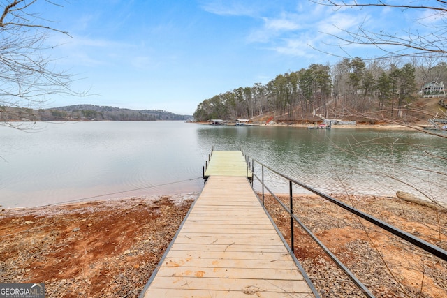 dock area with a water view