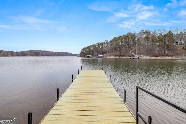 dock area featuring a water view