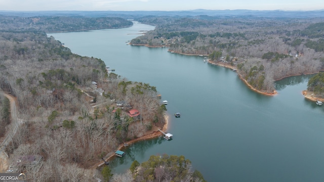 bird's eye view featuring a water and mountain view