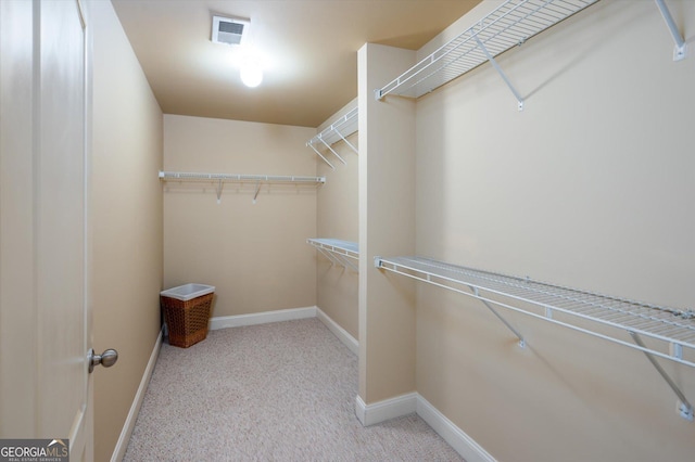 spacious closet with light carpet