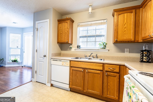 kitchen featuring a sink, plenty of natural light, dishwasher, and brown cabinetry