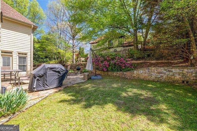 view of yard featuring a patio area