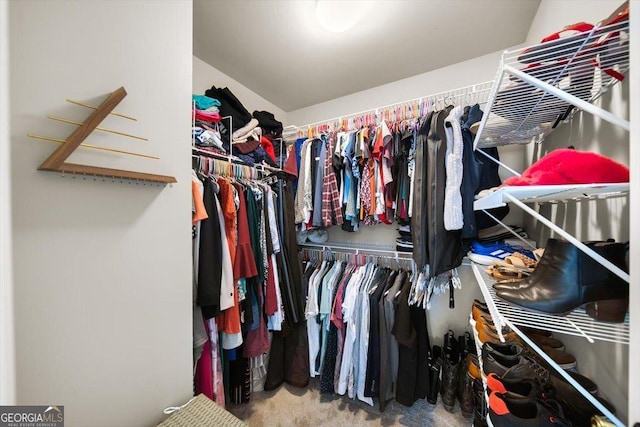 spacious closet with carpet