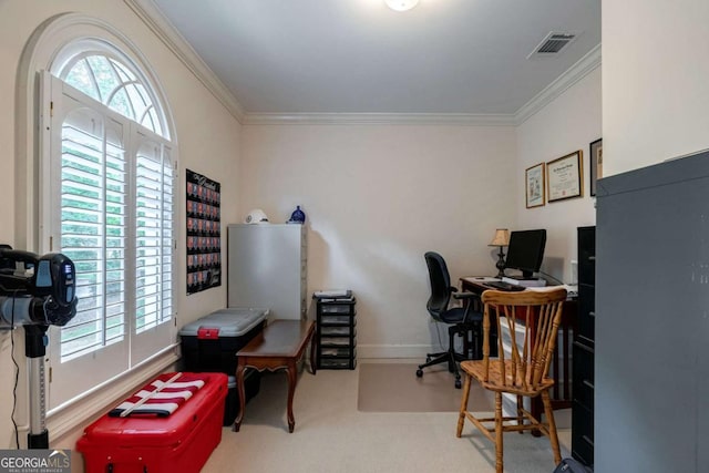 carpeted office space featuring crown molding