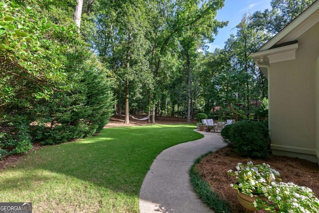 view of yard with a patio