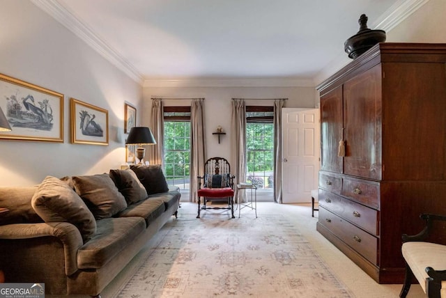 carpeted living room with crown molding