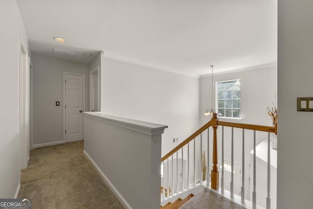 corridor with a notable chandelier, ornamental molding, and carpet flooring