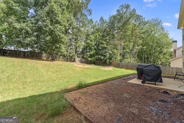 view of yard featuring a patio area