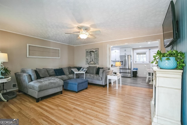 living room featuring crown molding, a textured ceiling, and light hardwood / wood-style flooring