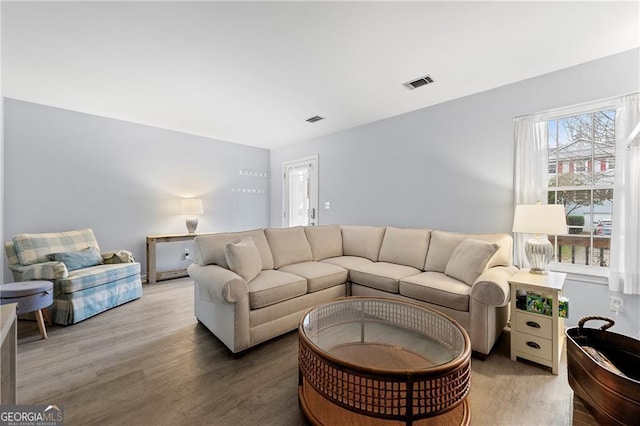 living room featuring wood-type flooring