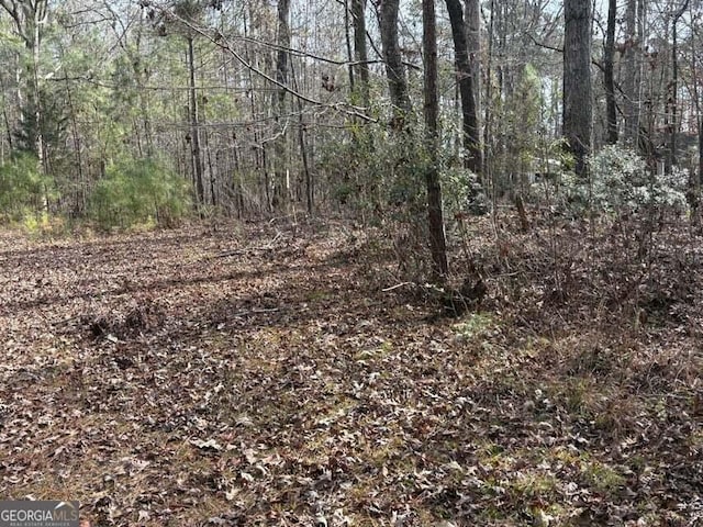 Listing photo 2 for LOT14 Indian Cv, Lincolnton GA 30817