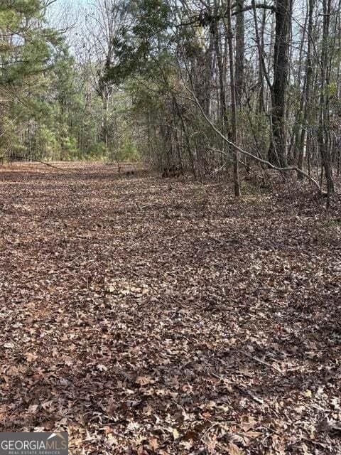 Listing photo 3 for LOT14 Indian Cv, Lincolnton GA 30817