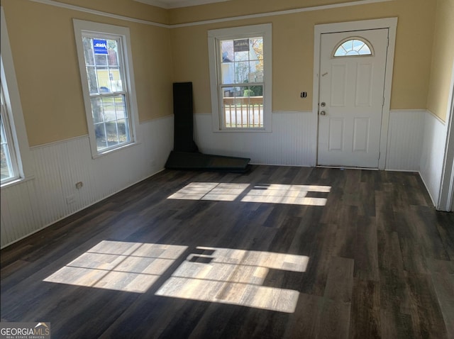 entryway with dark hardwood / wood-style floors and a wealth of natural light