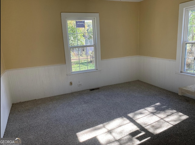 spare room with carpet floors and a wealth of natural light