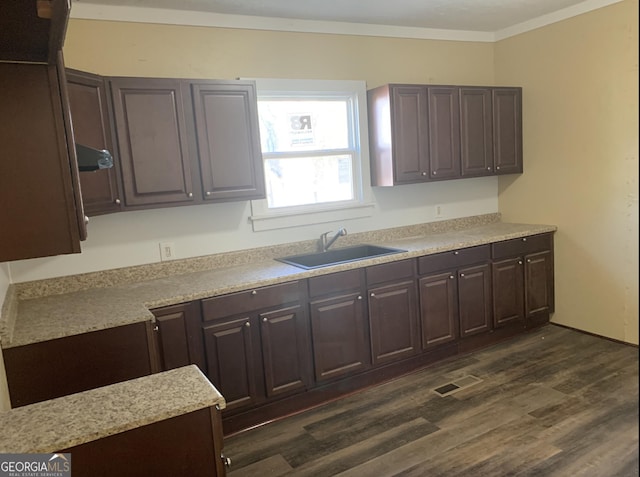 kitchen featuring crown molding, sink, dark wood-type flooring, and dark brown cabinetry