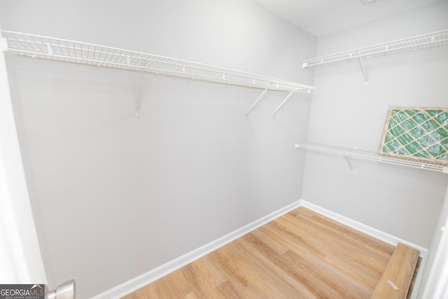 walk in closet with hardwood / wood-style flooring