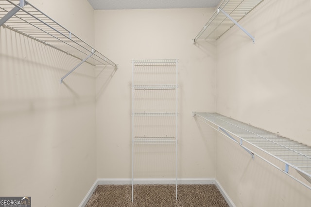 spacious closet featuring carpet flooring