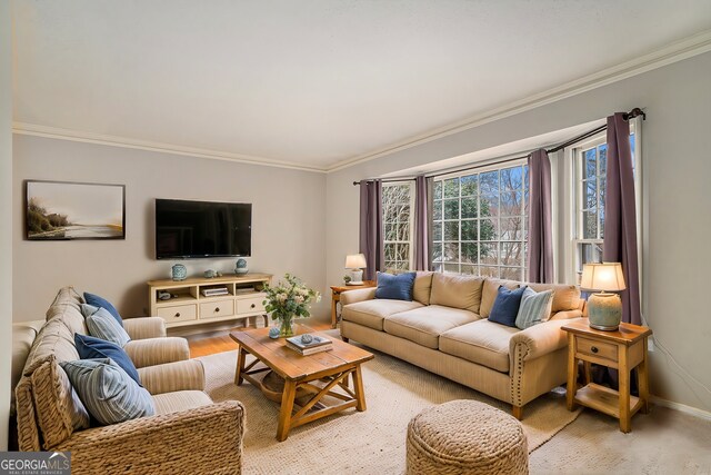 living room with ornamental molding and light hardwood / wood-style flooring